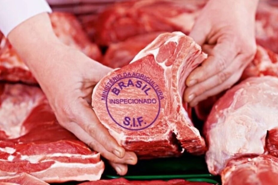 Exportações de carne bovina começam o ano em queda