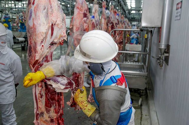 Rondônia recebe autorização para exportar carne bovina ao Canadá - Agropecuária