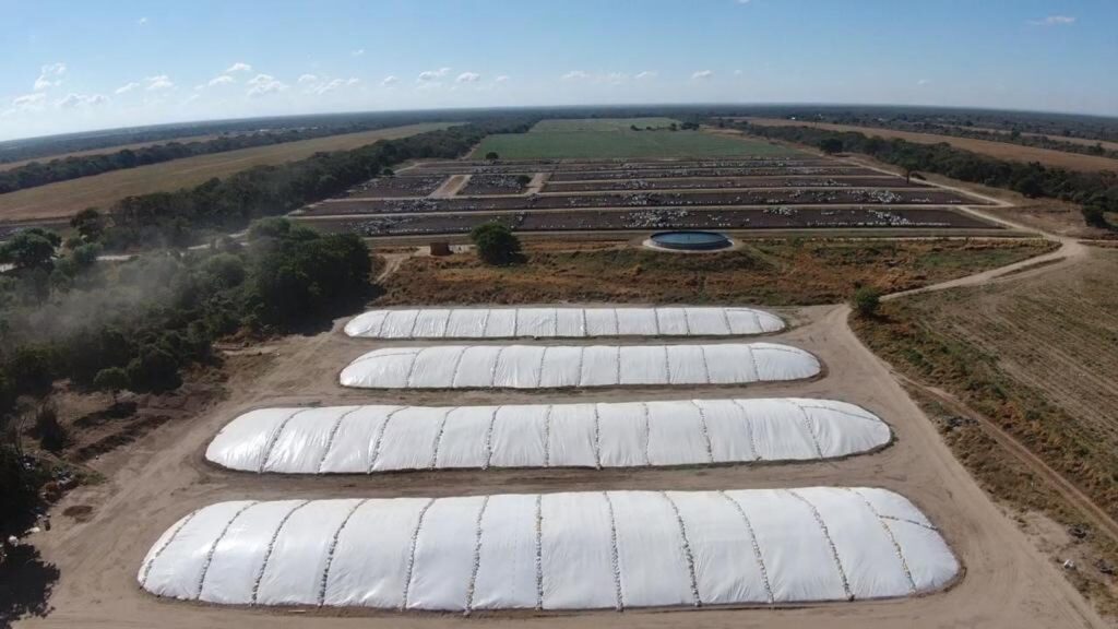 Armazenamento correto da silagem é essencial para ganho de produtividade do rebanho