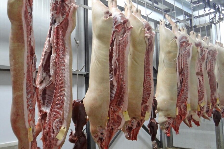 Suínos: carne sobe mais que concorrentes e perde competitividade - Canal Rural