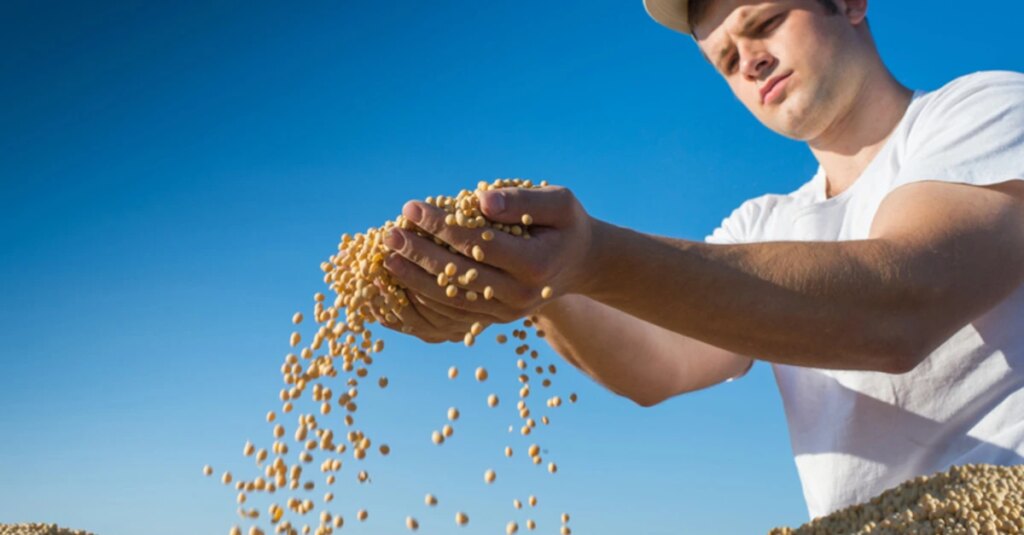 Pesquisa revela aumento no uso de defensivos agrícolas no Brasil