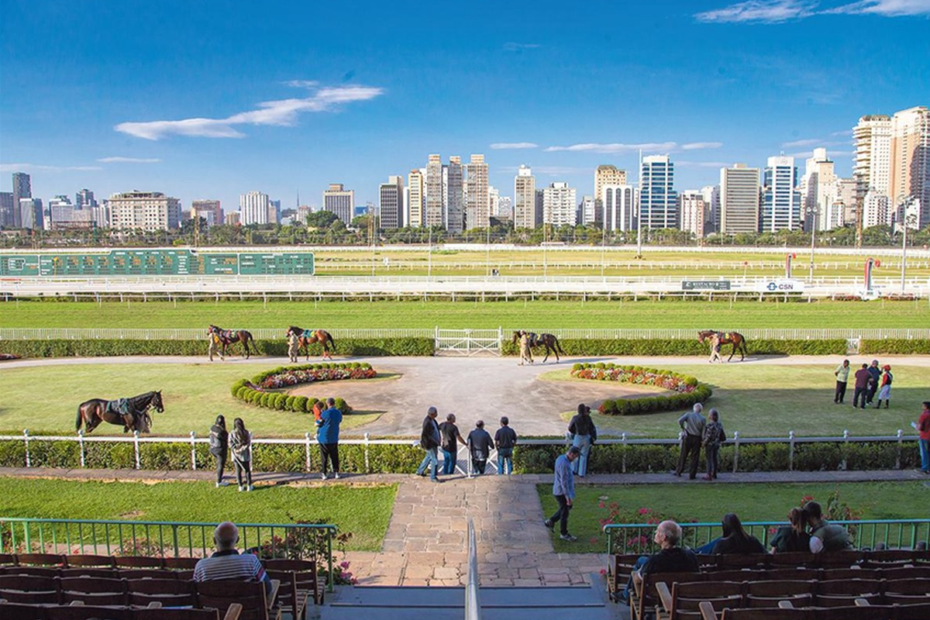 Em votação final, vereadores de São Paulo decidem proibição de apostas em corridas de cavalos | Lauro Jardim