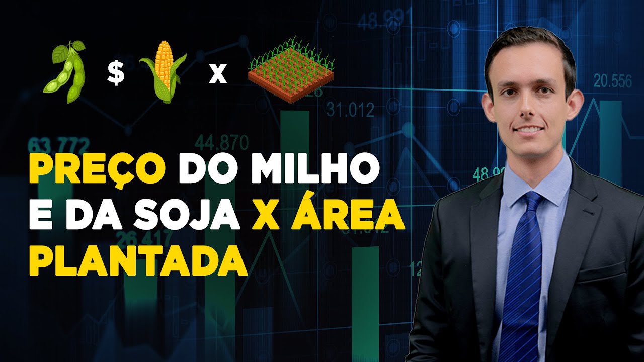 a influencia dos precos do milho e da soja na area plantada nos eua entrevista com matheus pereira