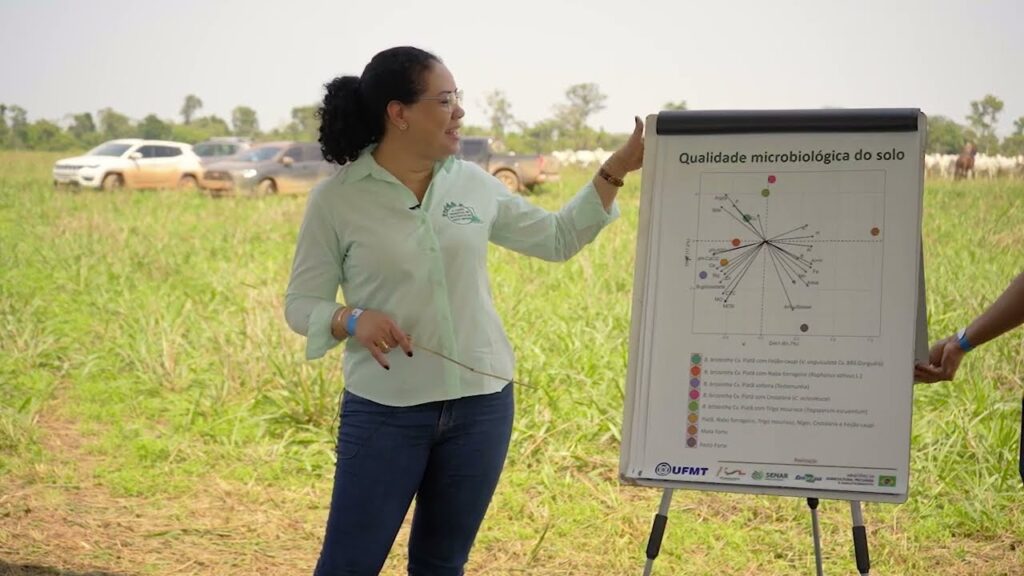 a microbiologia do solo na ilp