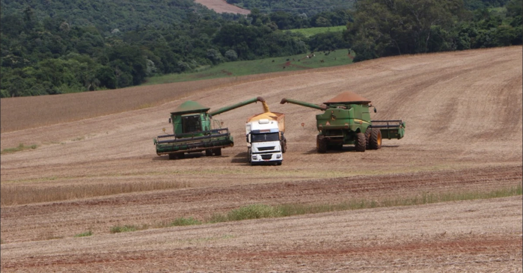 Abiove reduz previsão da safra de soja. 3 Abiove corta previsão de safra de soja do Brasil e já não vê mais recorde