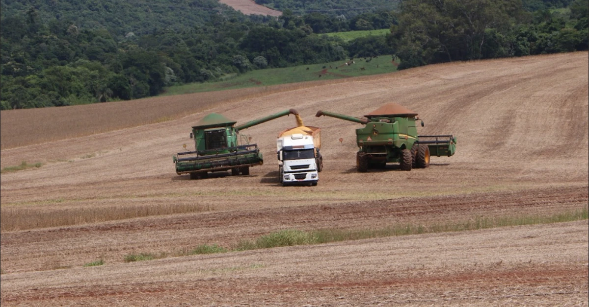 Abiove reduz previsão da safra de soja. 2 Abiove corta previsão de safra de soja do Brasil e já não vê mais recorde