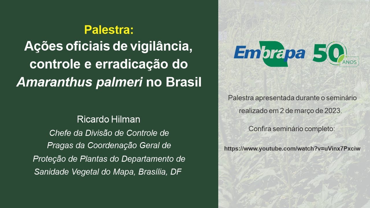 Ações oficiais de vigilância, controle e erradicação do Amaranthus palmeri no Brasil