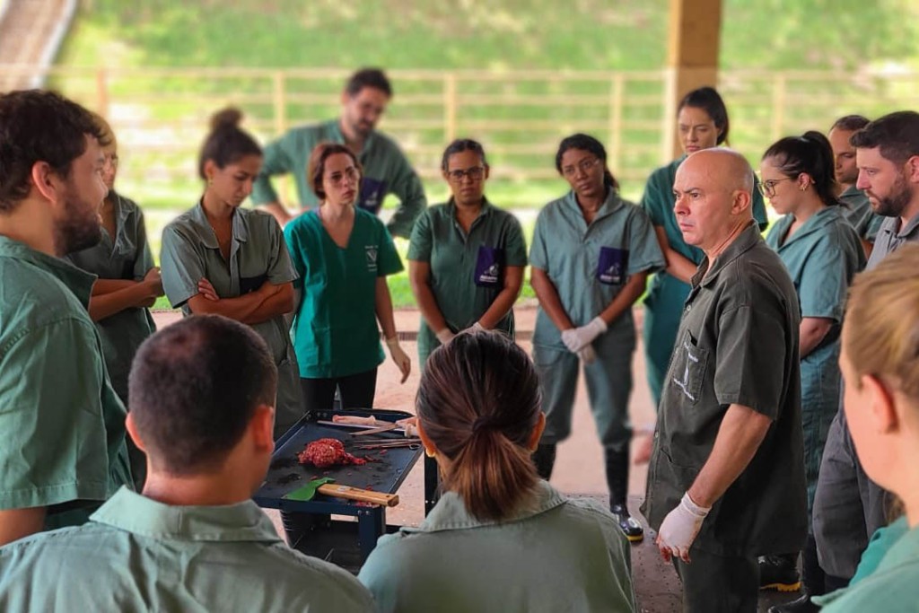 Adapar intensifica ações contra doenças em animais 9 Adapar reforça defesa agropecuária com ações de combate à brucelose e tuberculose