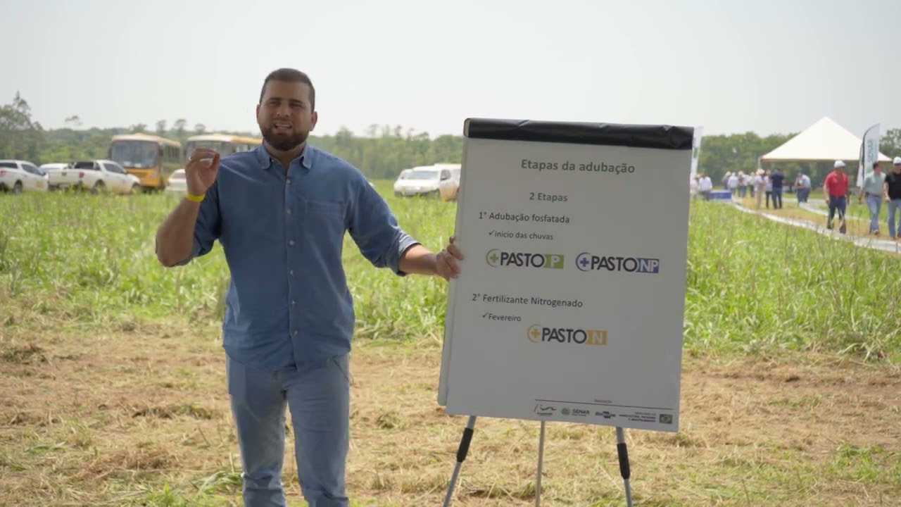 adubacao de pastagem no sistema pontal