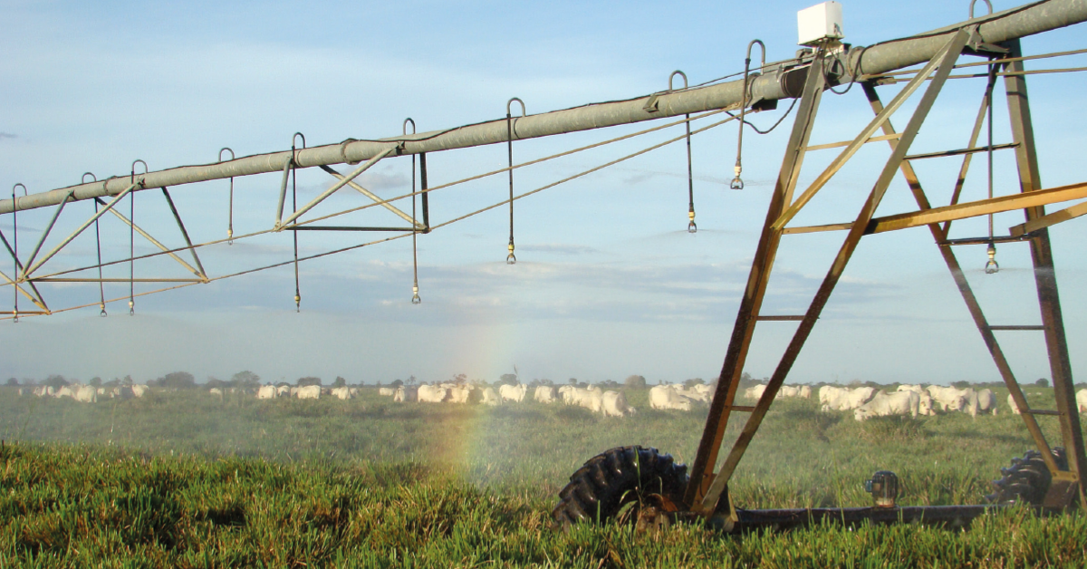Agro atinge recorde nas exportações. O que será que impulsionou esse crescimento? • Portal DBO 14 pelo 4° ano seguido, agro atinge recorde com faturamento nas exportações • Portal DBO