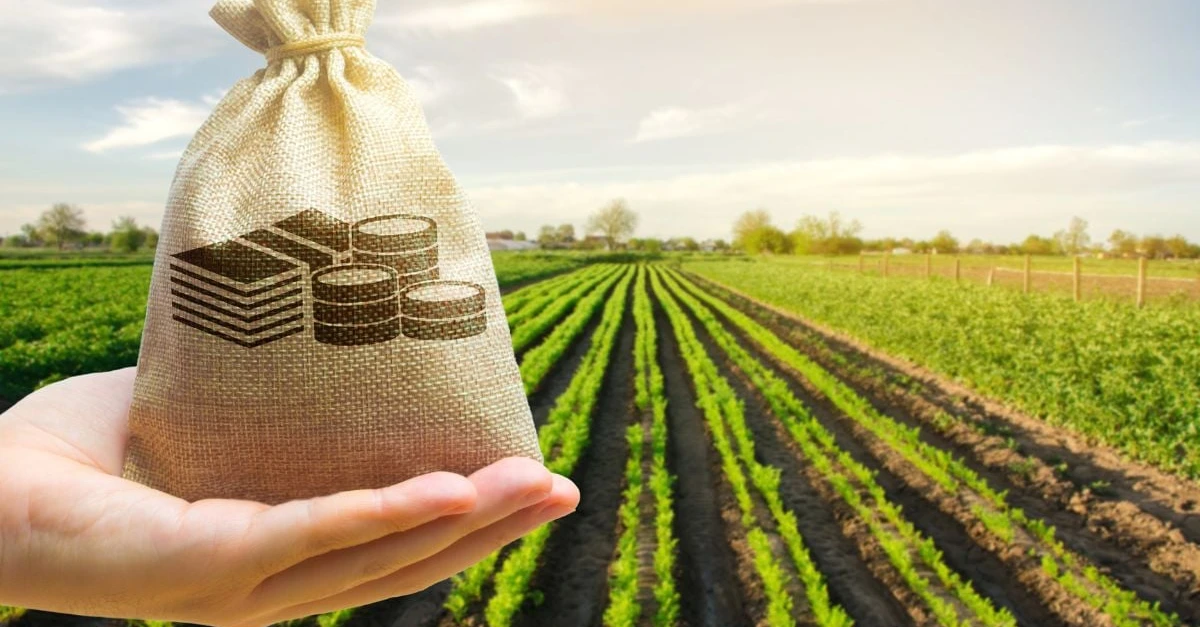 Agro- Descubra as tendências financeiras do agronegócio. 9 MAPA divulga dados do Boletim de Finanças Privadas do Agro