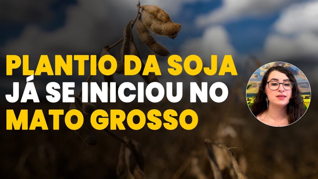 agro em destaque principais noticias 23 09
