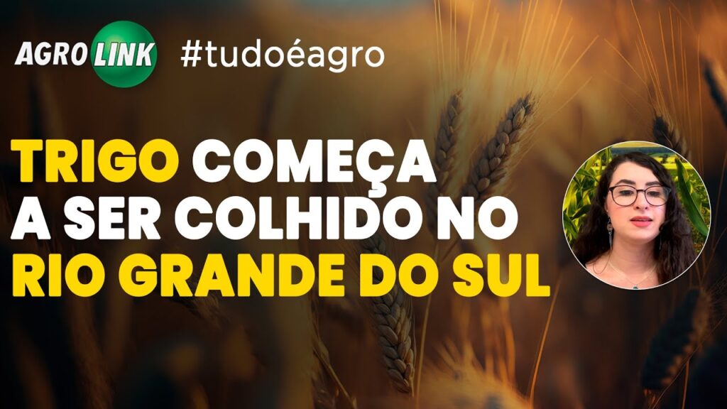 agro em foco principais noticias 08 10
