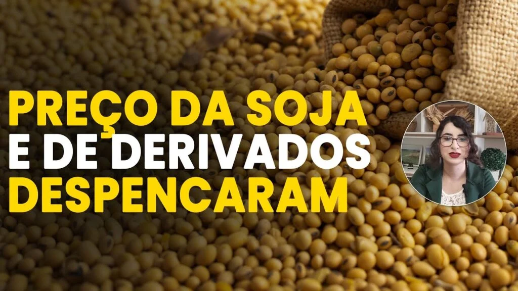 Agro em Foco: Principais Notícias (25/03) 4 agro em foco principais noticias 25 03