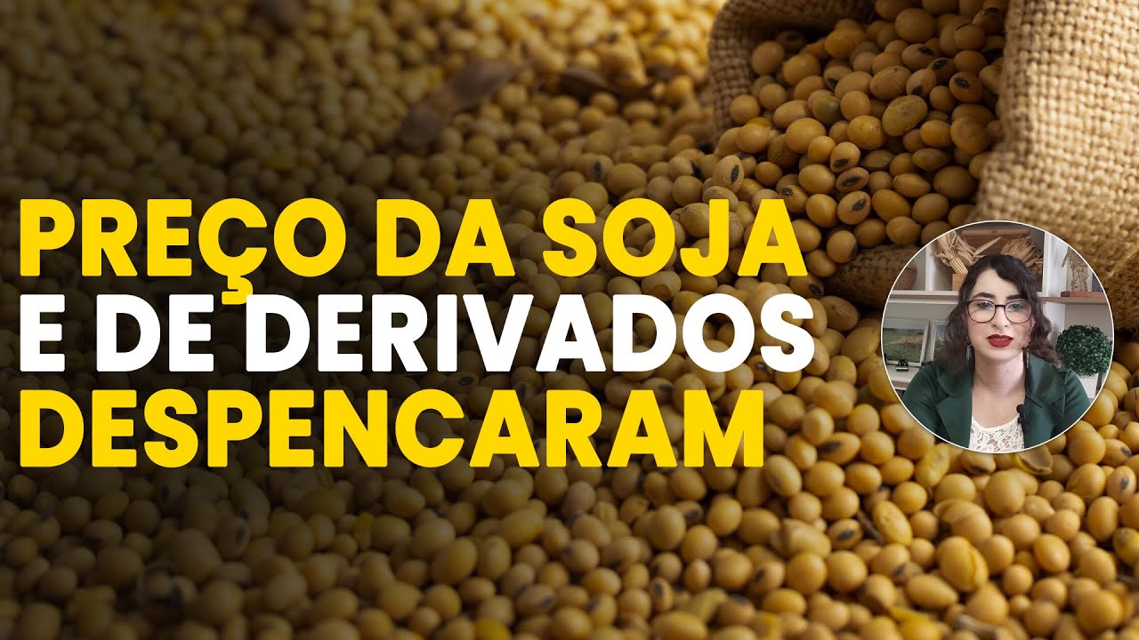 Agro em Foco: Principais Notícias (25/03)