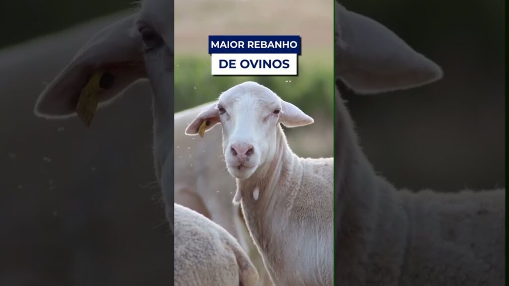 agro na bahia o que voce precisa saberf09f8cb1