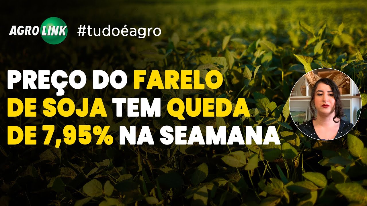 agro principais noticias 29 04