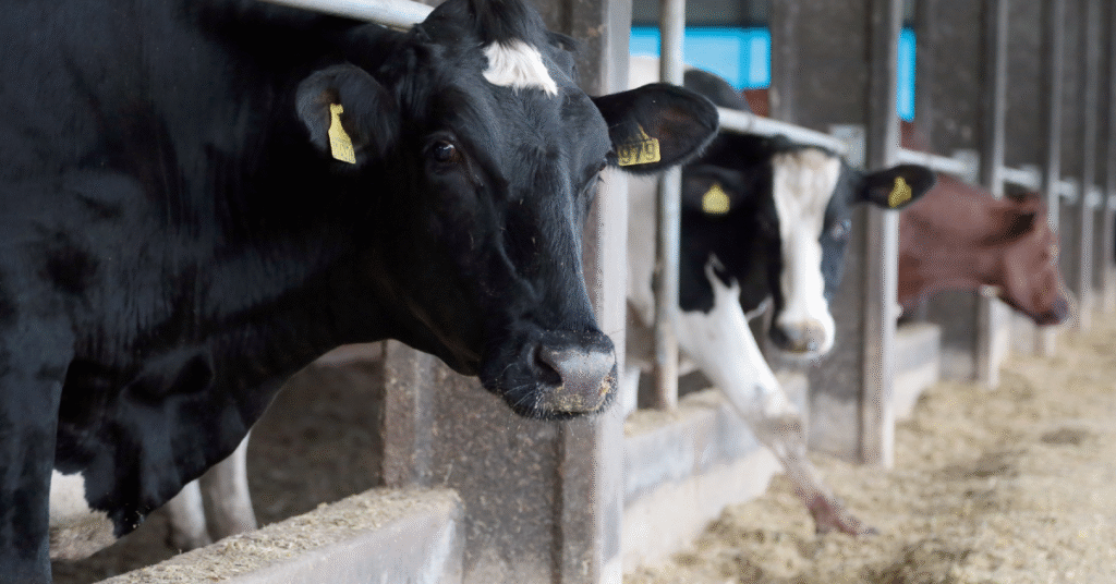 agro responde por 22% do PIB e soma 1.200 novas vagas com carteira em 2023 • Portal DBO