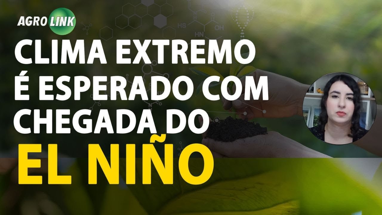 agronegocio em destaque principais noticias