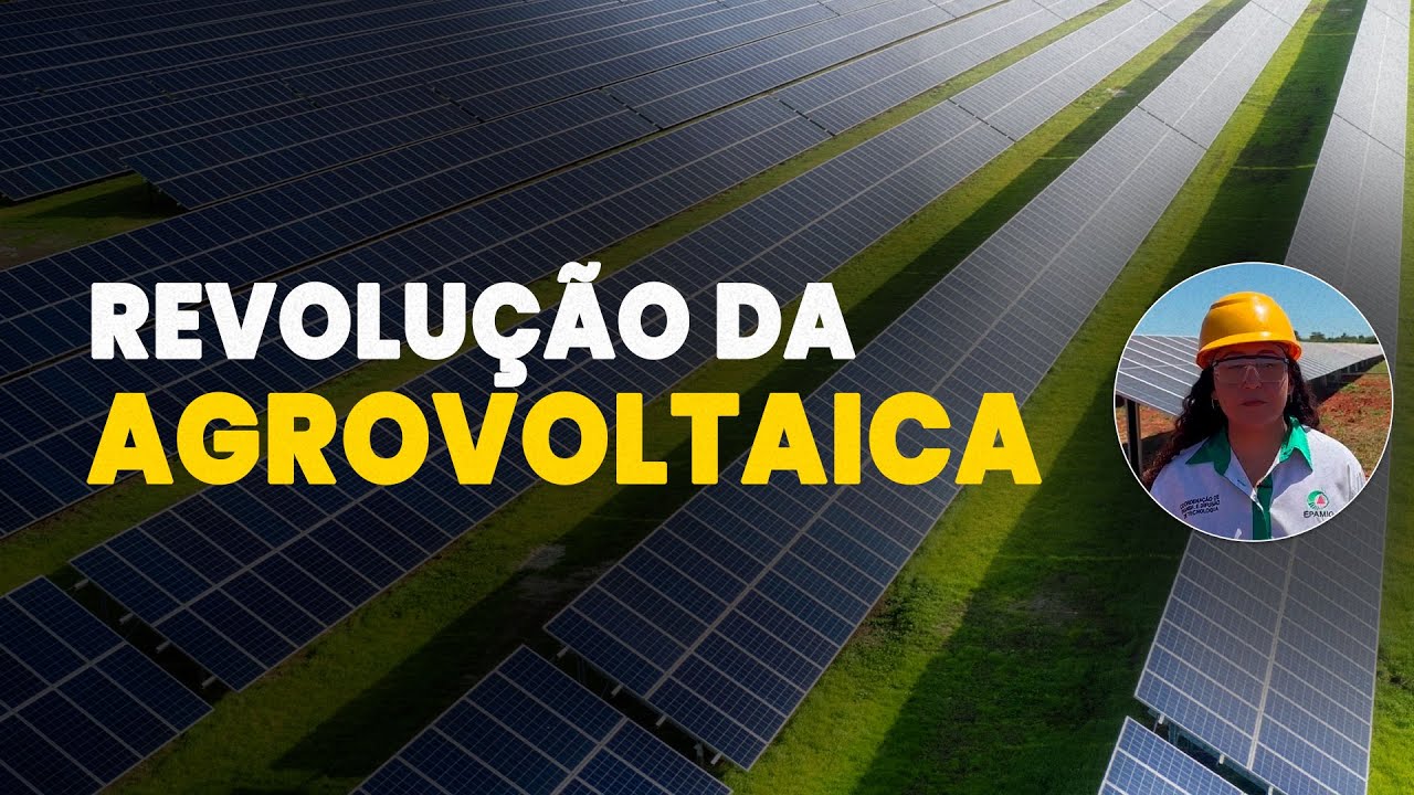 Agrovoltaica em Minas Gerais