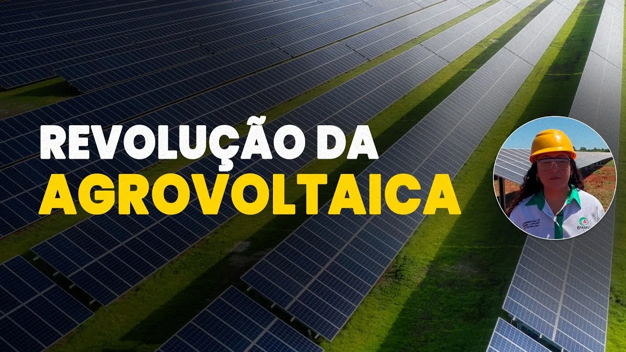 agrovoltaica em minas gerais