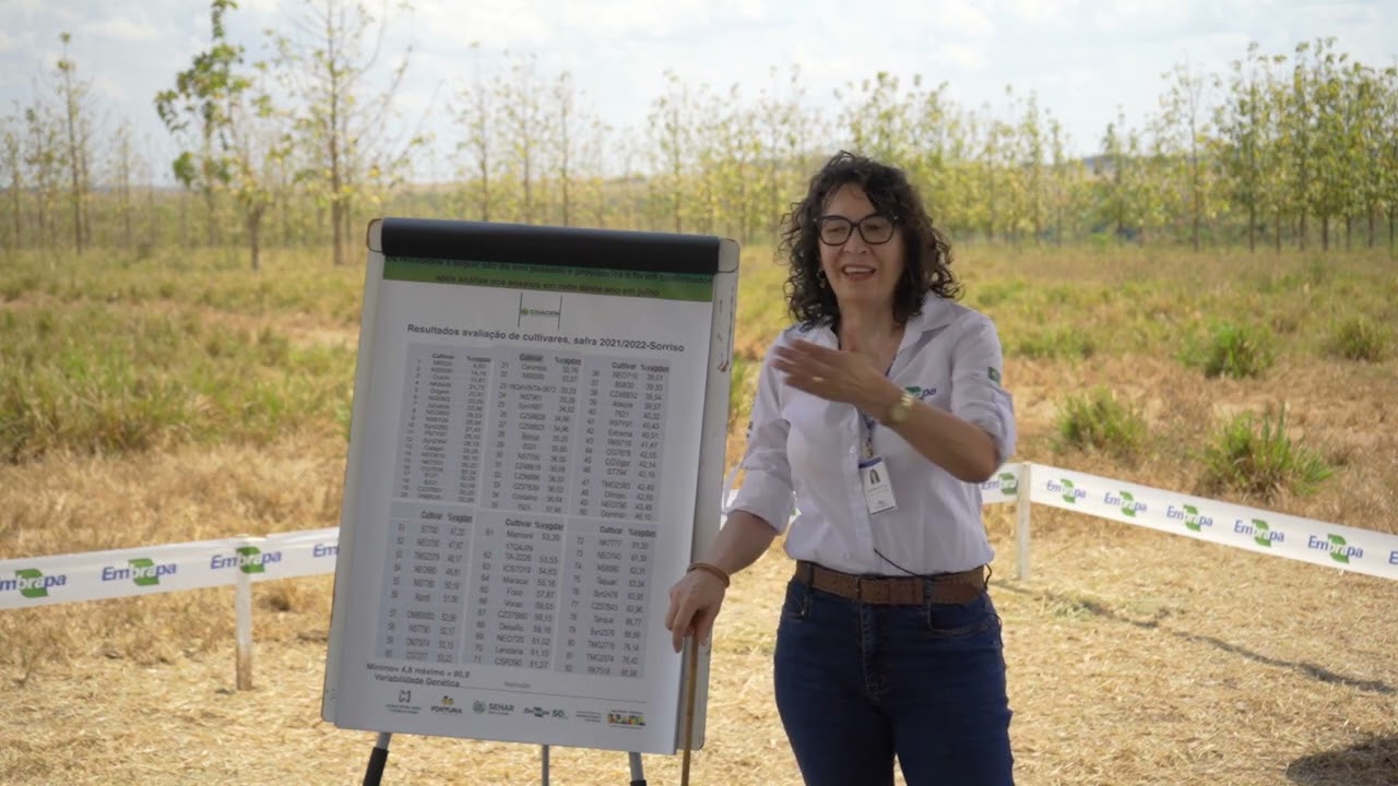 anomalia das vagens e quebramento da haste na soja dulandula wruck