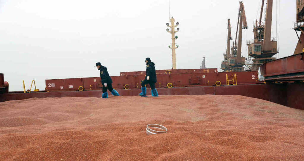 Empresa do agronegócio listada na Bolsa aposta no sorgo; veja quem é – Money Times