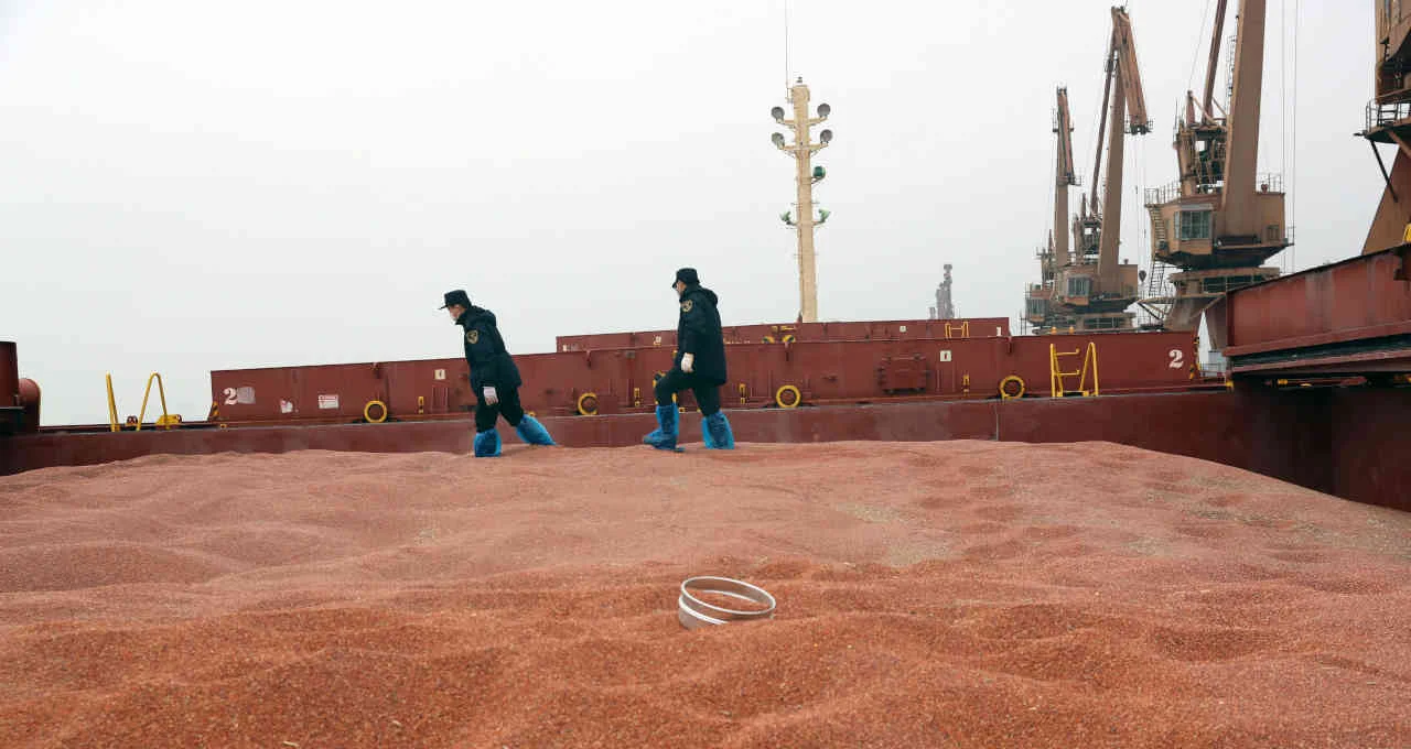 Empresa do agronegócio listada na Bolsa aposta no sorgo; veja quem é – Money Times