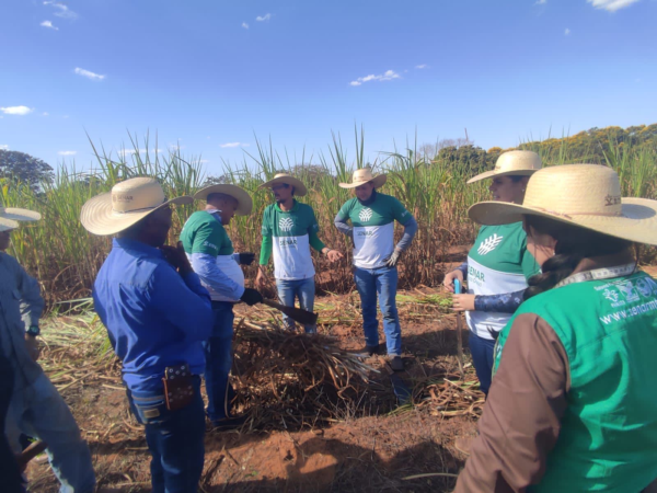 Aprimorando a produção de silagem: produtores de Rondonópolis se destacam. 18 Produtores de Rondonópolis ampliam conhecimentos sobre silagem em curso - Confederação da Agricultura e Pecuária do Brasil (CNA)
