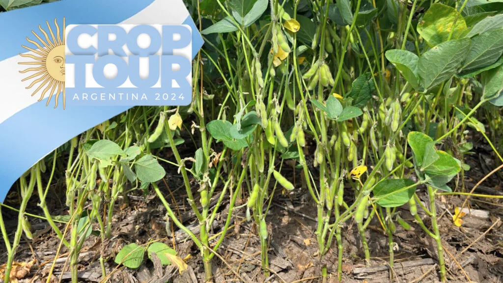 Argentina: Potencial promissor da safra 2023/24 com nova previsão de chuvas. 11 Argentina: Potencial da safra 2023/24 é bom, mas precisa de novas chuvas para se concretizar