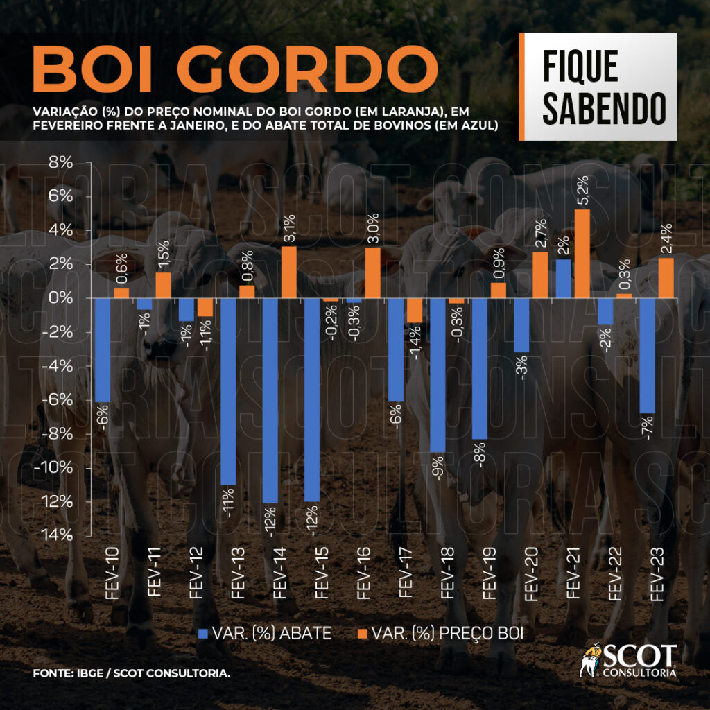 arroba do boi em fevereiro o que esperar 1