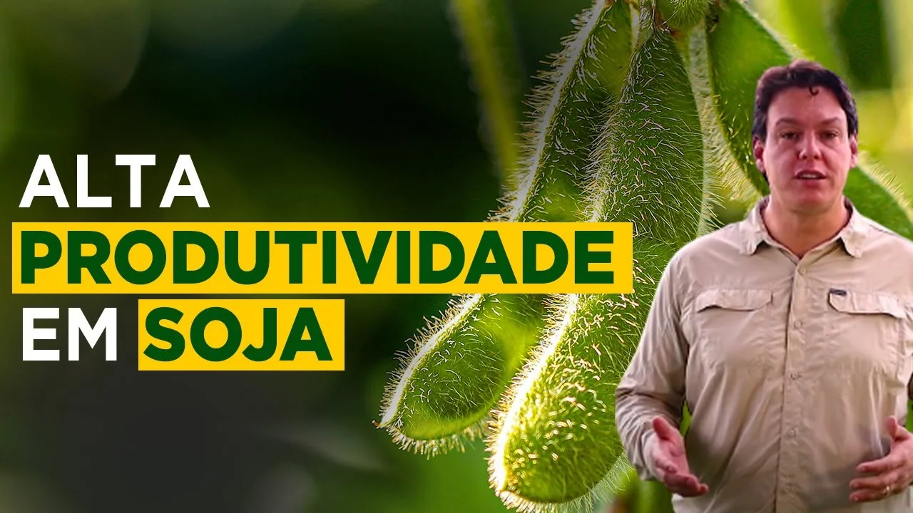 aumente sua produtividade de soja com luiz eduardo salvatico