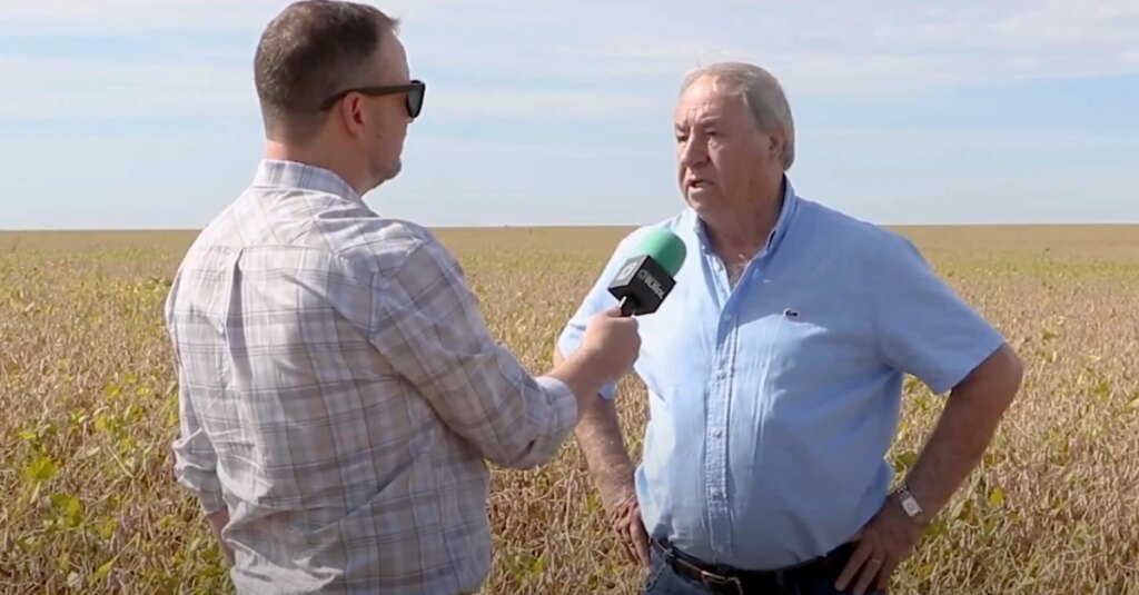 Paranaense estão satisfeitos com as produtividades de soja