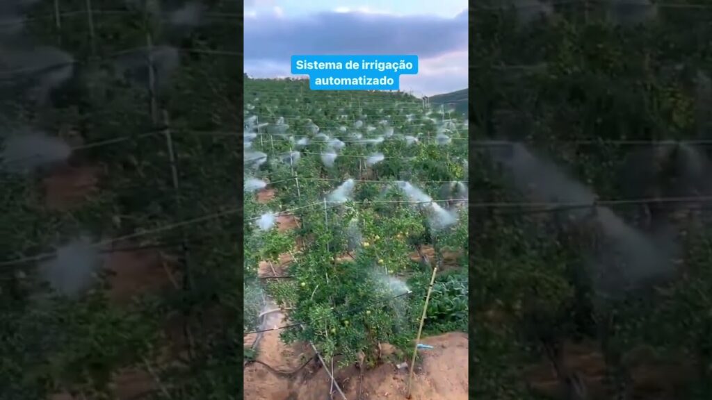 automatize sua irrigacao agro