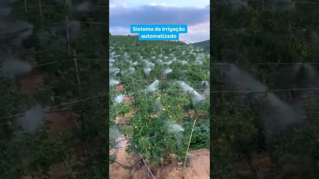 Automatize sua irrigação #agro 3 automatize sua irrigacao agro