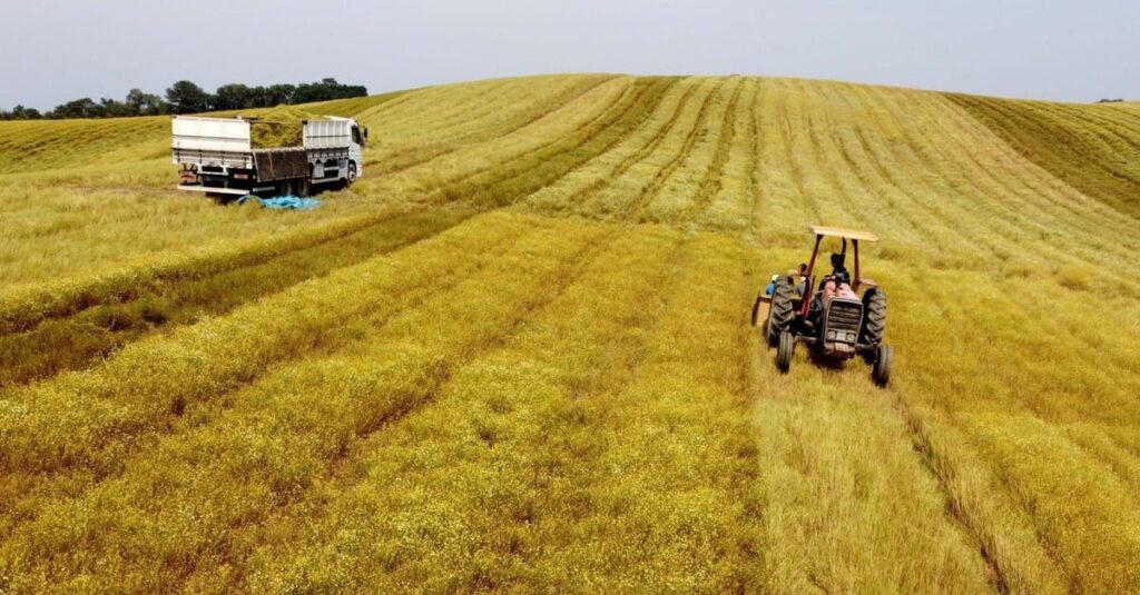 Ministério da Fazenda inicia avaliação sobre crise no agronegócio