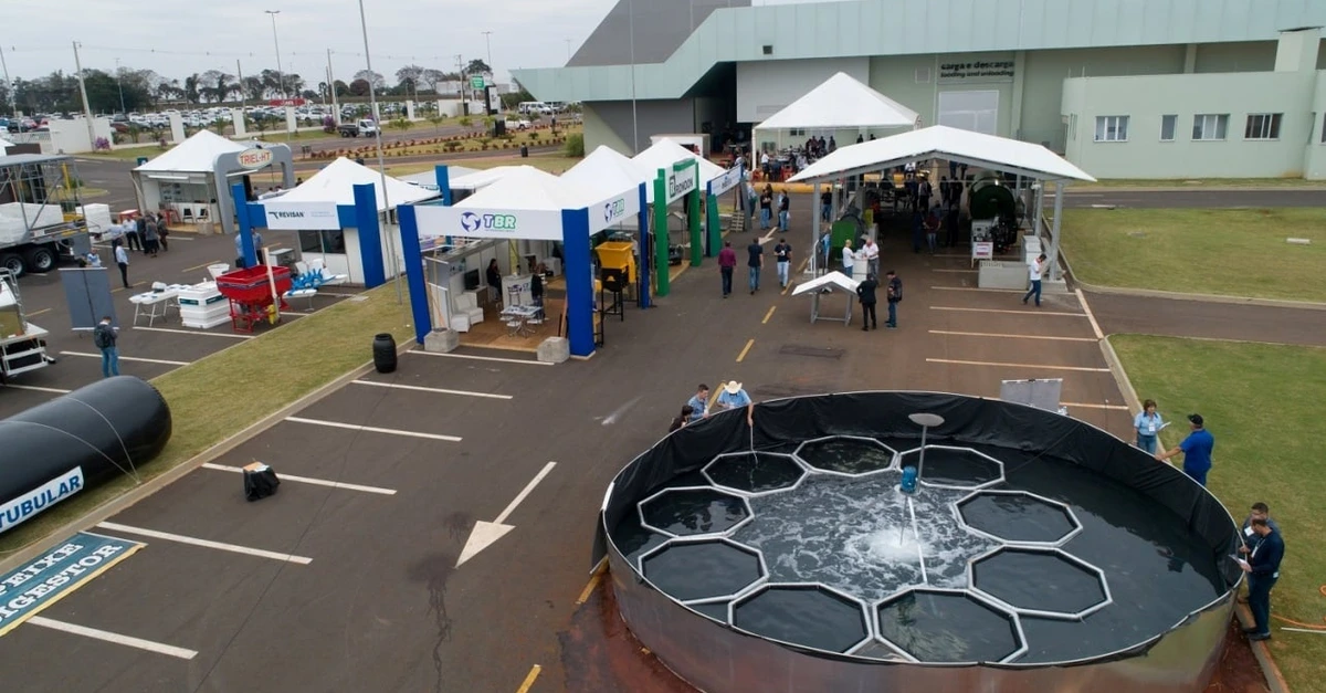 AveSui: o que nos aguarda?