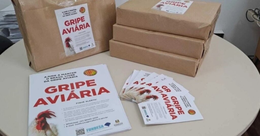 Aportes setoriais da avicultura tem crescimento de 140%