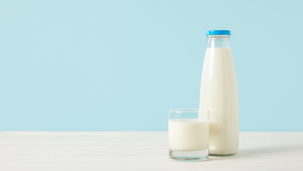 Bebês podem ter alergia à proteína do leite de vaca?