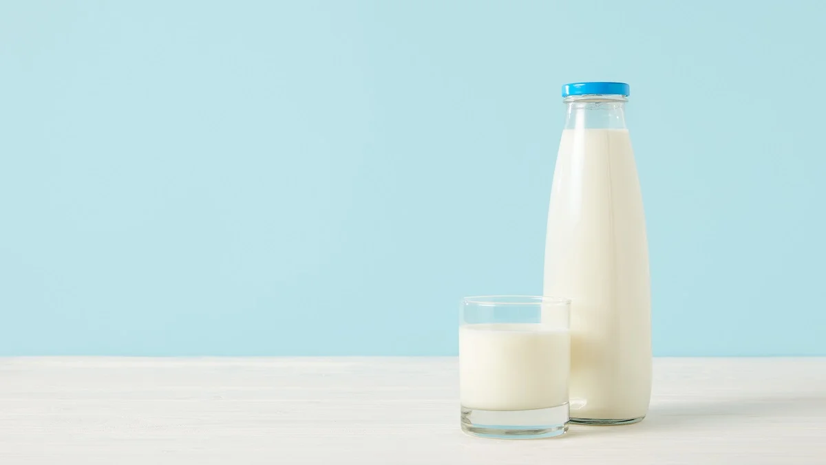 Bebês podem ter alergia à proteína do leite de vaca? 29 garrafa e copo de leite sobre a mesa. a alergia ao leite ou APLV exige cuidados