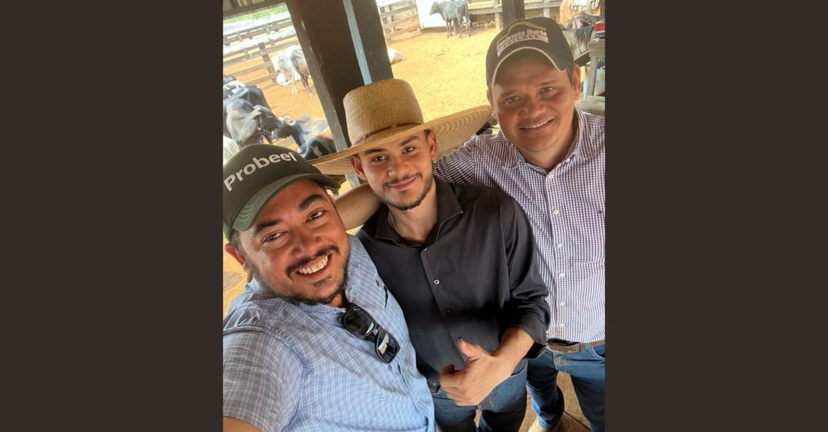 Boiada jovem surpreende em Rondônia.