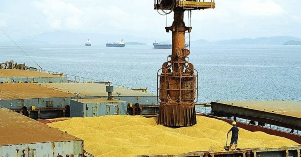 Brasil bate recorde na exportação de soja. 12 Brasil deve exportar 7,3 milhões de toneladas de soja em fevereiro, diz Anec • Portal DBO