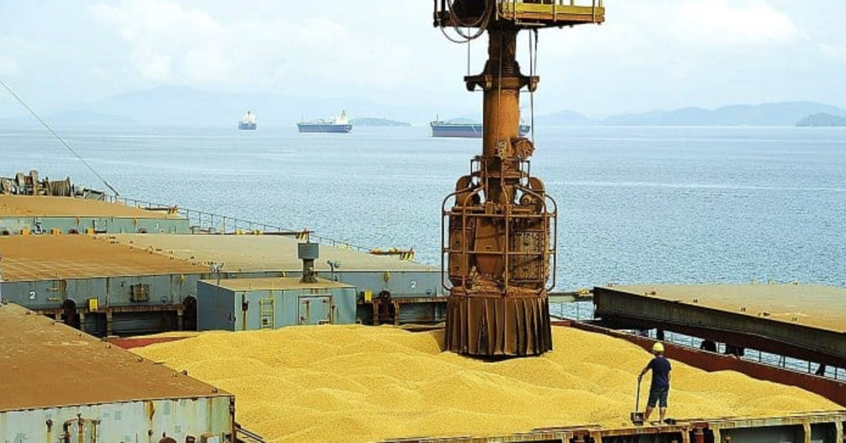 Brasil bate recorde na exportação de soja.