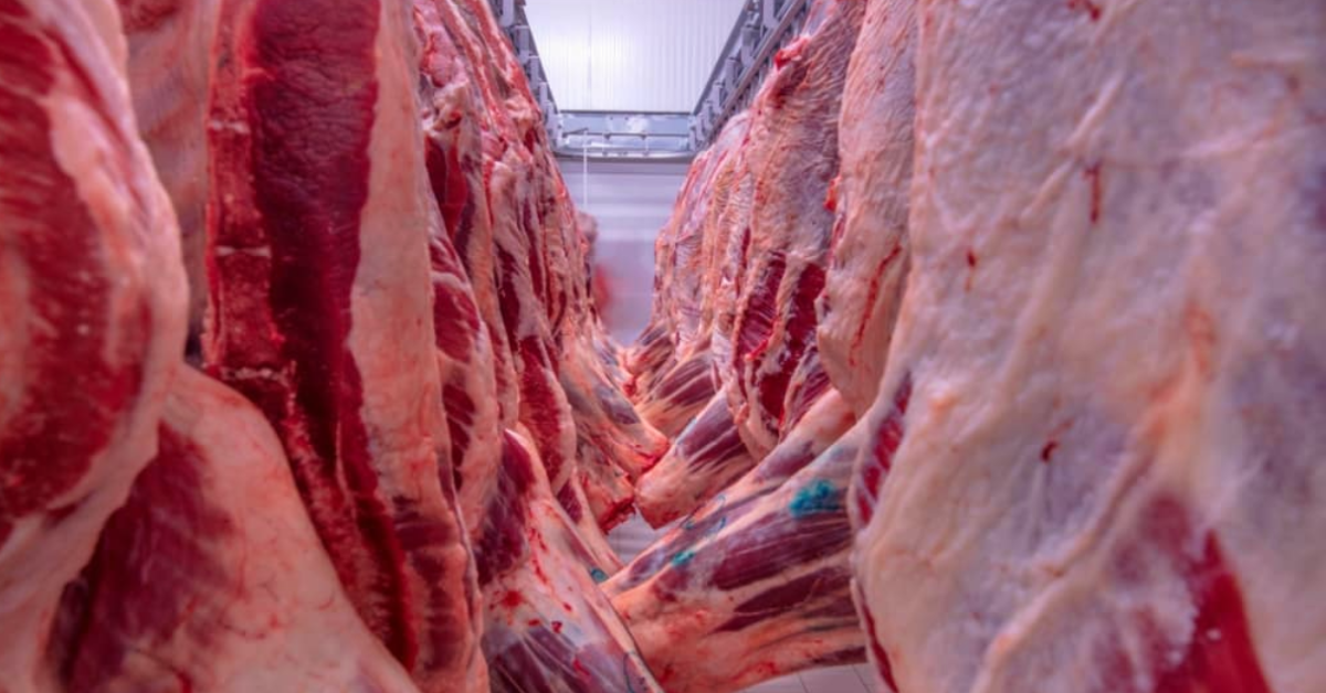 Brasil bate recorde nas exportações de carne bovina in natura