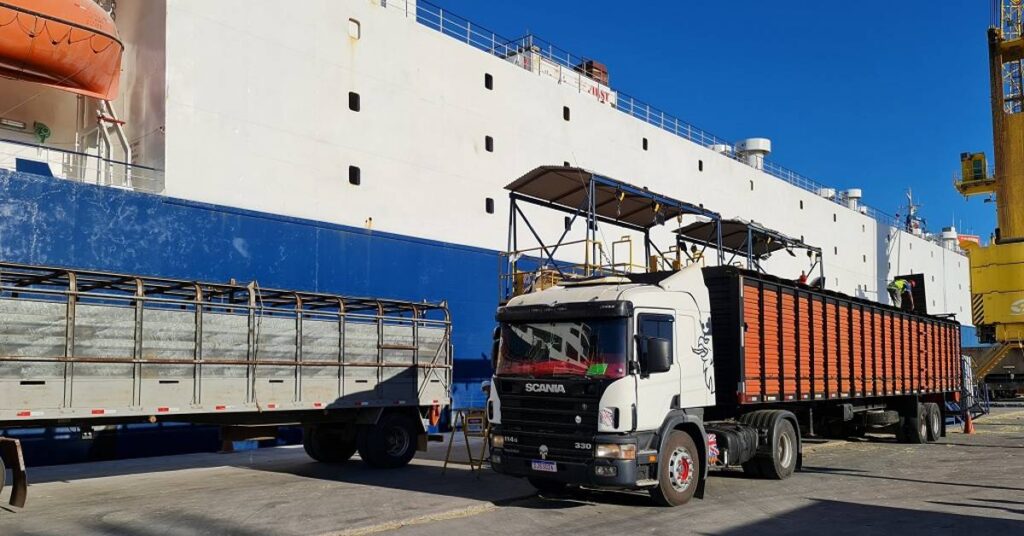 Brasil exporta bovinos vivos para Omã! 2 Brasil está habilitado a exportar bovinos vivos para Omã • Portal DBO