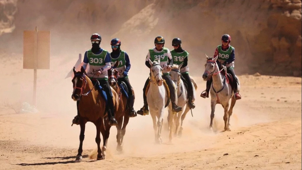 Brasil no top 10 do Enduro Equestre na Arábia Saudita! 3 Brasil fica no top 10 do Enduro Equestre na Arábia Saudita