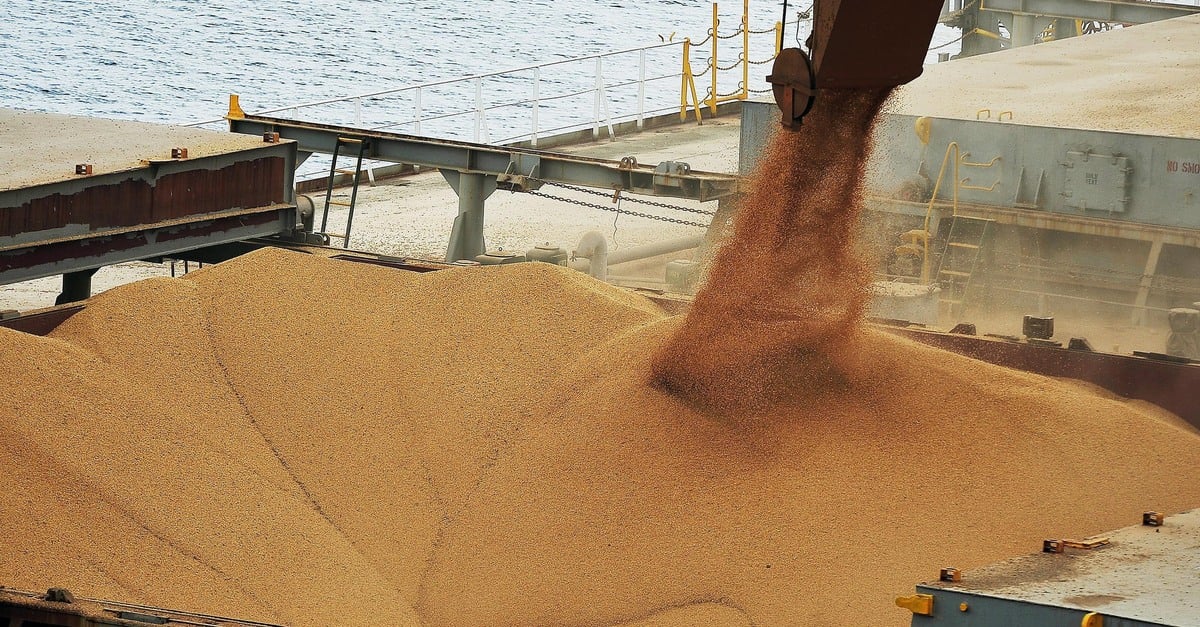 Brasil reduz exportação de soja?