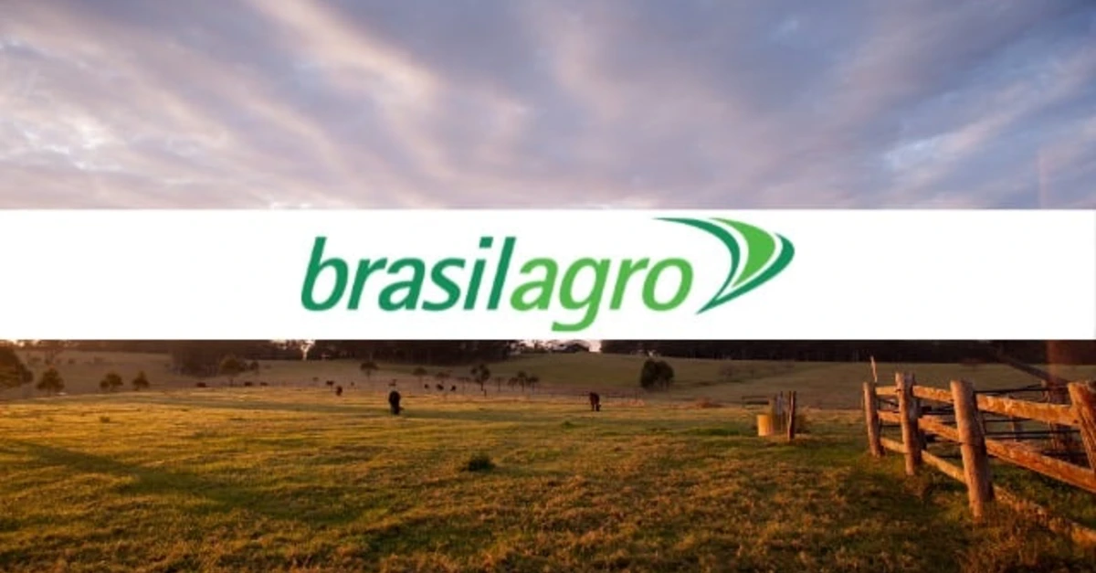 BrasilAgro reduz prejuízo em 55% – Saiba mais!