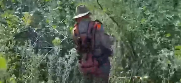 Busca intensa por indígena sumido. 30 Ação é feita com drones, cães de busca e cavalos para encontrar indígena sumido, após surto