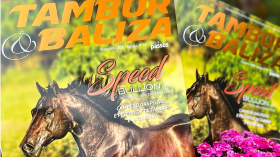 Calendário de publicações e novidades para 2024 da Editora Passos!